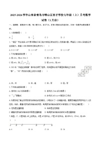 2025-2026学年山东省青岛市崂山区育才学校七年级（上）月考数学试卷（1月份）-自定义类型
