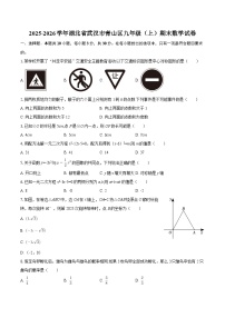 2025-2026学年湖北省武汉市青山区九年级（上）期末数学试卷-自定义类型