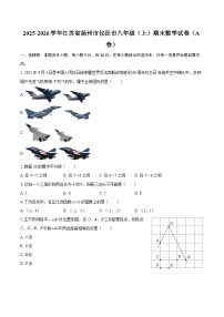 2025-2026学年江苏省扬州市仪征市八年级（上）期末数学试卷（A卷）-自定义类型