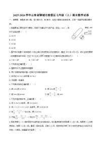 2025-2026学年山东省聊城市度假区七年级（上）期末数学试卷-自定义类型