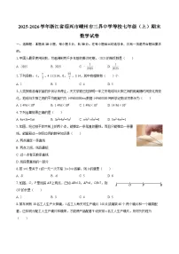 2025-2026学年浙江省绍兴市嵊州市三界中学等校七年级（上）期末数学试卷-自定义类型