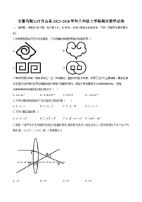 安徽马鞍山市含山县2025-2026学年八年级上学期期末数学试卷-自定义类型
