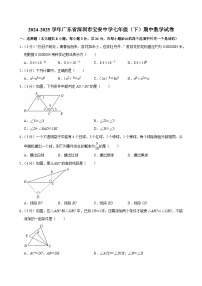 广东省深圳市宝安中学2024-2025学年七年级下学期期中数学试卷（含答案）