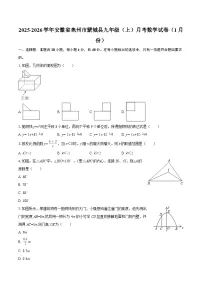 2025-2026学年安徽省亳州市蒙城县九年级（上）月考数学试卷（1月份） 含答案