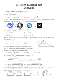 2025年广东省中山市中山纪念中学教育集团中考二模数学试题含答案