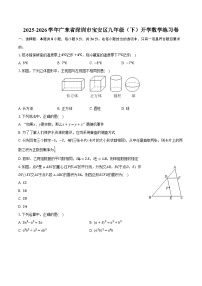 2025-2026学年广东省深圳市宝安区九年级（下）开学数学练习卷（含答案+解析）
