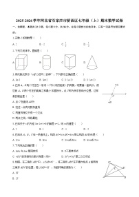 2025-2026学年河北省石家庄市桥西区七年级（上）期末数学试卷-自定义类型