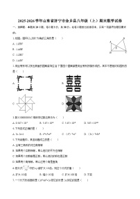 2025-2026学年山东省济宁市金乡县八年级（上）期末数学试卷-自定义类型