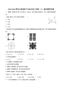 2025-2026学年山东省济宁市金乡县八年级（上）期末数学试卷-自定义类型