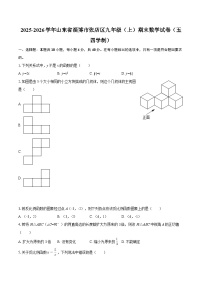 2025-2026学年山东省淄博市张店区九年级（上）期末数学试卷（五四学制）-自定义类型