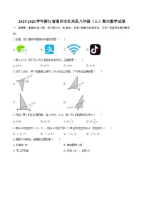 2025-2026学年浙江省湖州市长兴县八年级（上）期末数学试卷-自定义类型