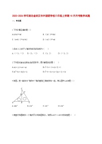 2025--2026学年湖北省武汉市外国语学校八年级上册10月月考数学试题【附答案】