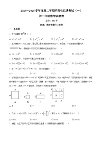 练习+答案 2024-2025学年江苏省苏州市苏大二中七年级下学期3月月考数学试卷