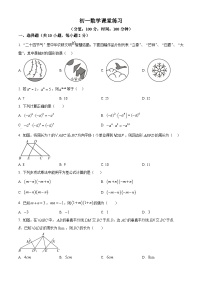 练习+答案 江苏省苏州园区青剑湖实验中学2024-2025学年下学期七年级数学3月月考卷