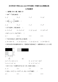 练习+答案 江苏省苏州学府中学校2024-2025学年下学期七年级数学3月月考卷