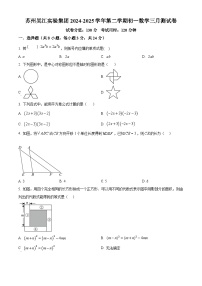 练习+答案 江苏省苏州市吴江实验集团2024-2025学年下学期七年级数学三月测试卷