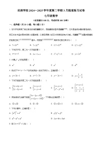 练习+答案 江苏省苏州市苏州工业园区星湖学校2024-2025学年七年级下学期3月随堂练习数学卷
