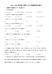 练习+答案 江苏省苏州市金鸡湖学校2024-2025学年下学期3月七年级数学单元练习试卷