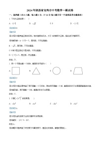2024年陕西省宝鸡市中考一模数学试题（解析版）