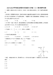 2025-2026学年湖北省荆州市松滋市七年级（上）期末数学试卷-自定义类型