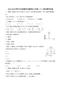 2025-2026学年江苏省南京市建邺区九年级（上）期末数学试卷-自定义类型