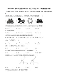 2025-2026学年四川省泸州市江阳区八年级（上）期末数学试卷-自定义类型