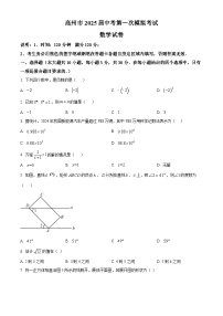 2025年广东省茂名市高州市九年级中考一模数学试题（原卷版）