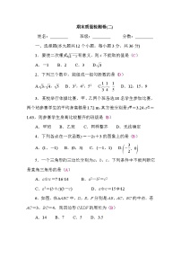 人教版（2024）数学八年级下册 期末质量检测卷(二)（试卷含答案）