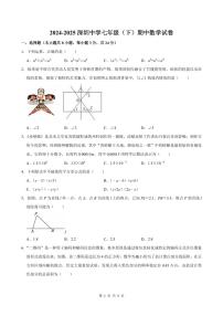广东省深圳中学2024-2025学年七年级下学期期中数学试卷（含解析）