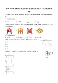 2025-2026学年黑龙江省齐齐哈尔市龙沙区九年级（下）开学数学试卷（含答案+解析）