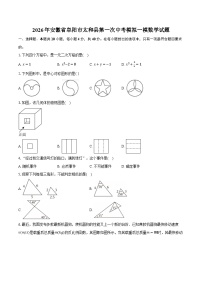 2026年安徽省阜阳市太和县第一次中考模拟一模数学试题-普通用卷