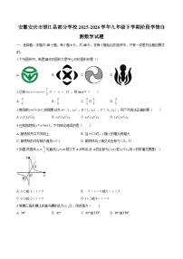 安徽安庆市望江县部分学校2025-2026学年九年级下学期阶段学情自测 数学试题