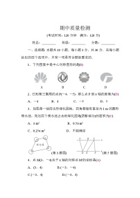 湘教版（2024）数学八年级下册 期中质量检测卷（试卷含答案）