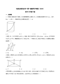 初中数学沪科版（2024）八年级下册（2024）18.1 勾股定理复习练习题