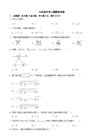 湖南省岳阳市2026年九年级中考二模数学试卷附答案