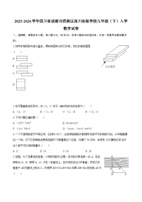 2025-2026学年四川省成都市武侯区西川实验学校九年级（下）入学数学试卷-自定义类型
