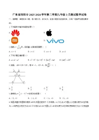 广东省深圳市2025-2026学年第二学期九年级3月测试数学试卷-自定义类型