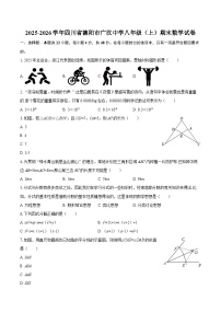 2025-2026学年四川省德阳市广汉中学八年级（上）期末数学试卷-自定义类型