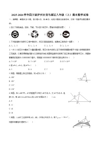 2025-2026学年四川省泸州市龙马潭区八年级（上）期末数学试卷-自定义类型