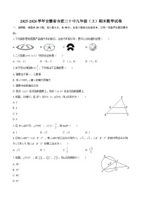 2025-2026学年安徽省合肥三十中九年级（上）期末数学试卷-自定义类型