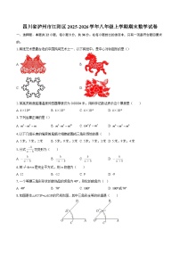 四川省泸州市江阳区2025-2026学年八年级上学期期末数学试卷-自定义类型