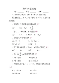 沪科版（2024）数学八年级下册 期中质量检测卷 （试卷含答案）