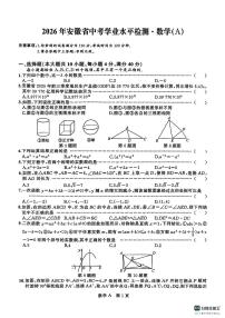 2026年安徽省部分地区中考模拟数学自编卷 含答案