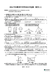 2026年安徽省部分地区中考模拟数学自编卷 含答案