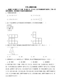 湖南省常德市澧县2026年中考二模数学试题附答案