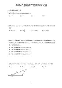 2024年宁波市东恩中学八下数学竞赛试卷(含答案)