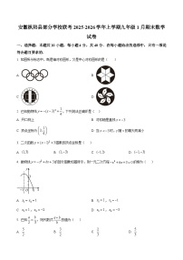 安徽省铜陵市枞阳县部分学校2025-2026学年九年级上学期1月期末数学试题