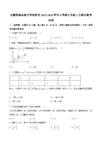 安徽省蚌埠市固镇县部分学校2025-2026学年九年级上学期1月期末数学试题