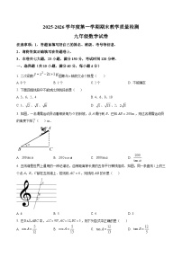 安徽安庆市宿松县2025~2026学年度第一学期九年级期末考试数学试题