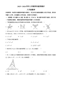 八年级上学期期末数学试题（原卷版无答案）